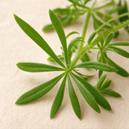 Cleavers