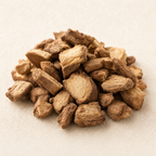 Stillingia Root